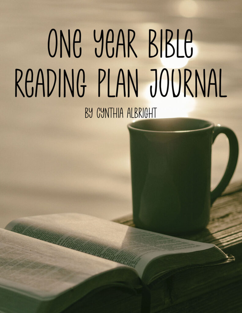 One Year Reading Plan Journal