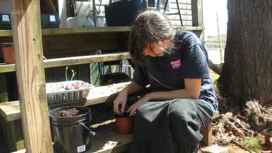 Repotting Plants