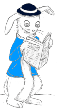bunny reading