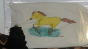 horsepillow11-300×168