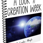 A Look At Creation Week