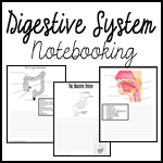 CA_DigestiveNotebooking