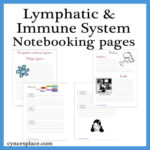 Lymphatic and Immune System Notebooking Pages