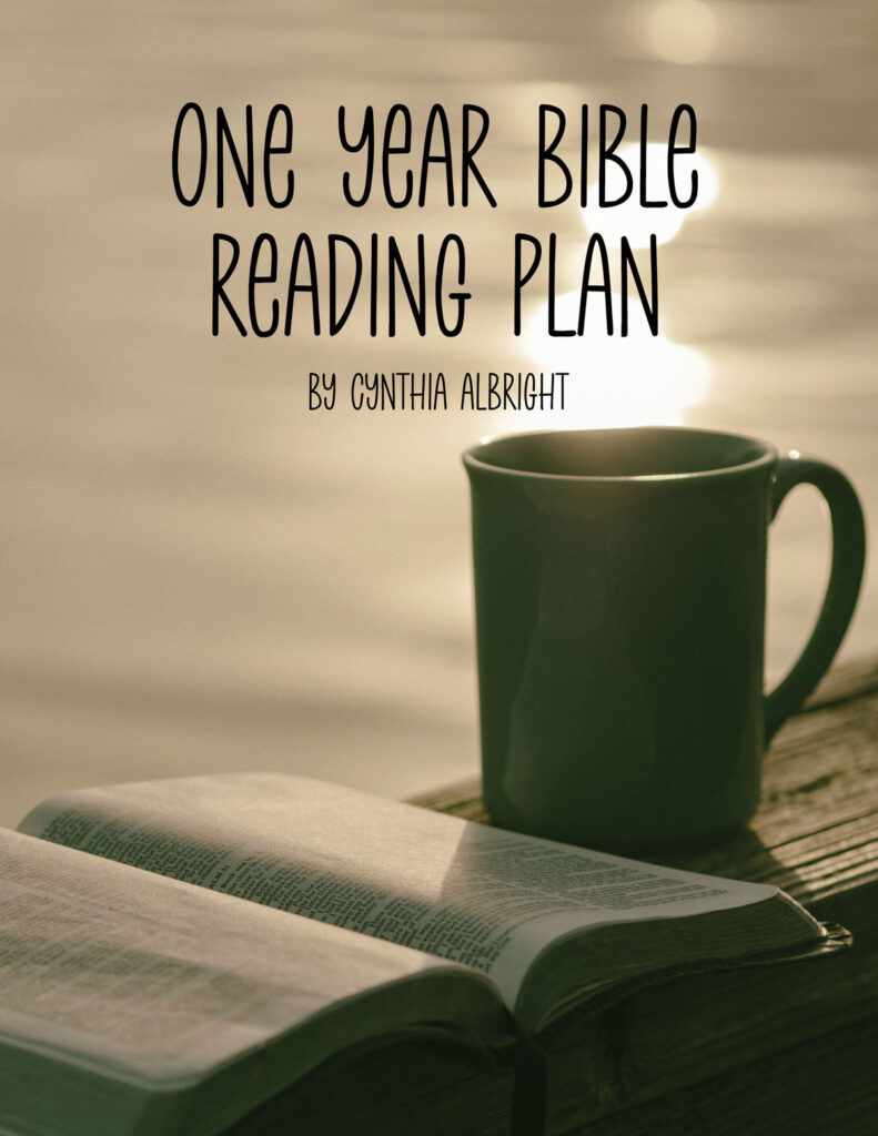 One Year Bible Reading Plan