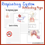 CA_RespiratorySystemNotebooking