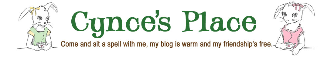 Cynce's Place Blog Header